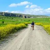 Lone man walking on long path in valley | Trauma Recovery | Elnita Ottey & Associates